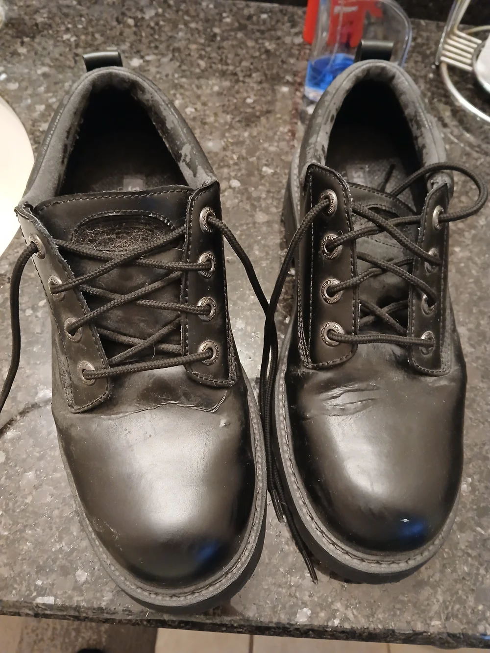 Skechers Men's Black Lace-Up Work Boots